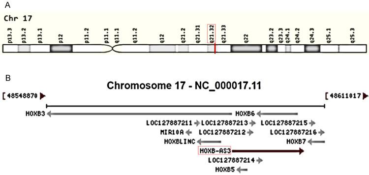 https://cdn.ncbi.nlm.nih.gov/pmc/blobs/bc1d/10777036/cb8543a5a159/jcav15p0714g001.jpg