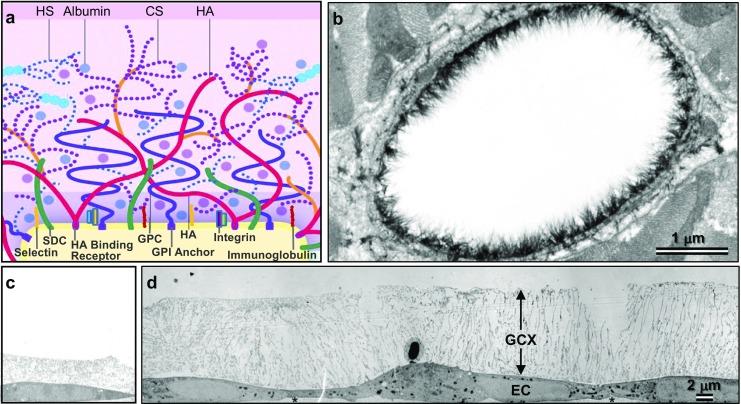 https://cdn.ncbi.nlm.nih.gov/pmc/blobs/bc1d/5681608/b3cb8b730537/11883_2017_691_Fig2_HTML.jpg