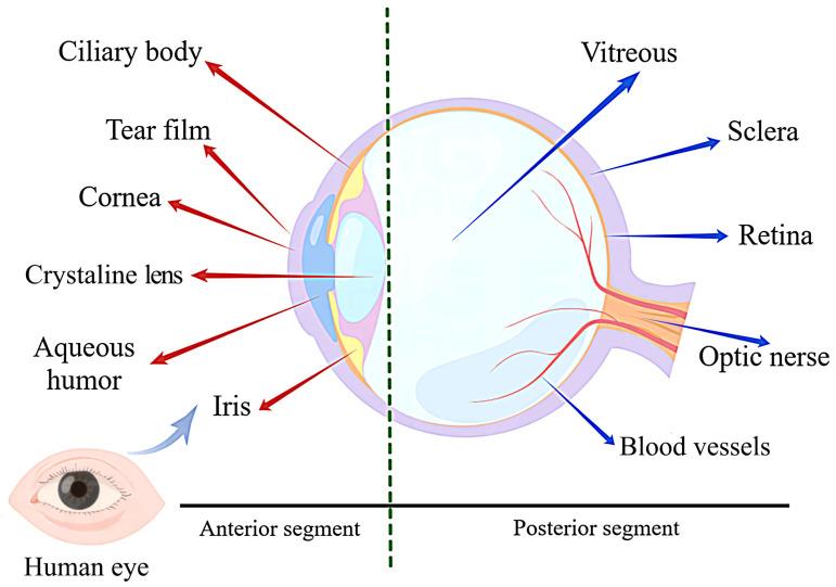 https://cdn.ncbi.nlm.nih.gov/pmc/blobs/bc1f/10137933/279b62a5dd85/gels-09-00292-g001.jpg