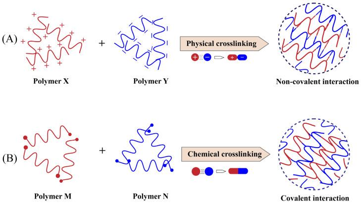 https://cdn.ncbi.nlm.nih.gov/pmc/blobs/bc1f/10137933/d97001ef629b/gels-09-00292-g002.jpg