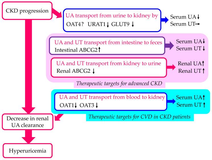 https://cdn.ncbi.nlm.nih.gov/pmc/blobs/bc20/10931163/a51411fe9e3f/cells-13-00450-g004.jpg