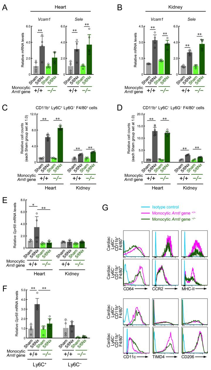 https://cdn.ncbi.nlm.nih.gov/pmc/blobs/bc22/11641442/c1a63dd92aab/ijms-25-13009-g006.jpg