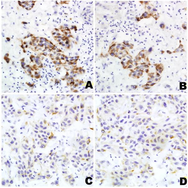 https://cdn.ncbi.nlm.nih.gov/pmc/blobs/bc23/3212909/93dd8e15a429/1756-9966-30-97-1.jpg