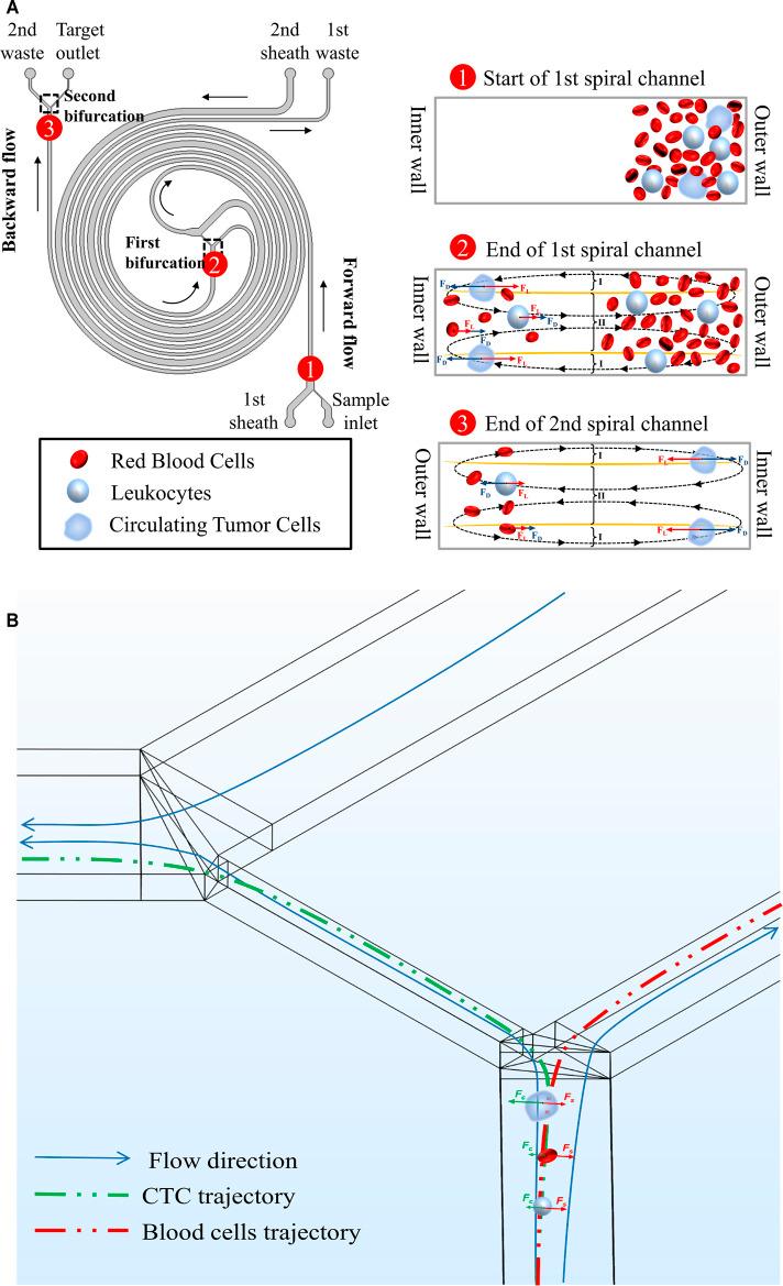 https://cdn.ncbi.nlm.nih.gov/pmc/blobs/bc23/8578950/615e0c26266a/fbioe-09-750444-g001.jpg