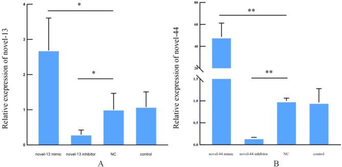 https://cdn.ncbi.nlm.nih.gov/pmc/blobs/bc24/11760096/c03d52b2ae92/12917_2024_4467_Fig4_HTML.jpg