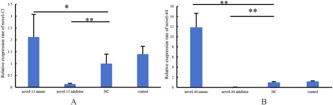 https://cdn.ncbi.nlm.nih.gov/pmc/blobs/bc24/11760096/fb61c48608f8/12917_2024_4467_Fig2_HTML.jpg