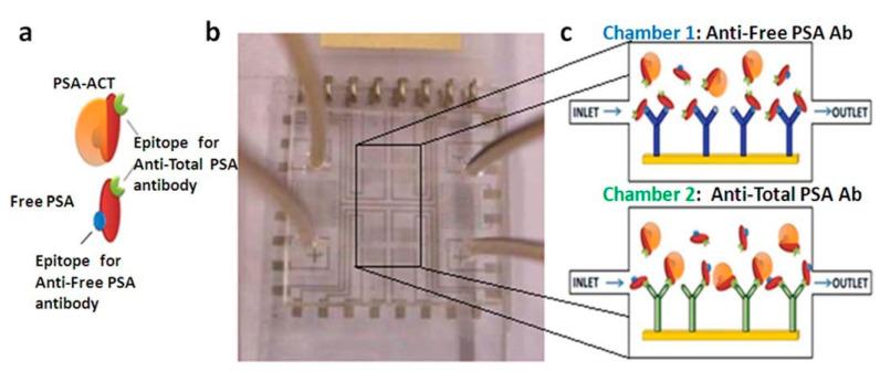 https://cdn.ncbi.nlm.nih.gov/pmc/blobs/bc24/8347987/e0ecf73b6bdd/sensors-21-05023-g014.jpg