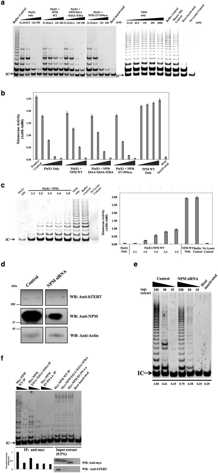 https://cdn.ncbi.nlm.nih.gov/pmc/blobs/bc28/5334639/7e32a2fe179e/srep43650-f5.jpg