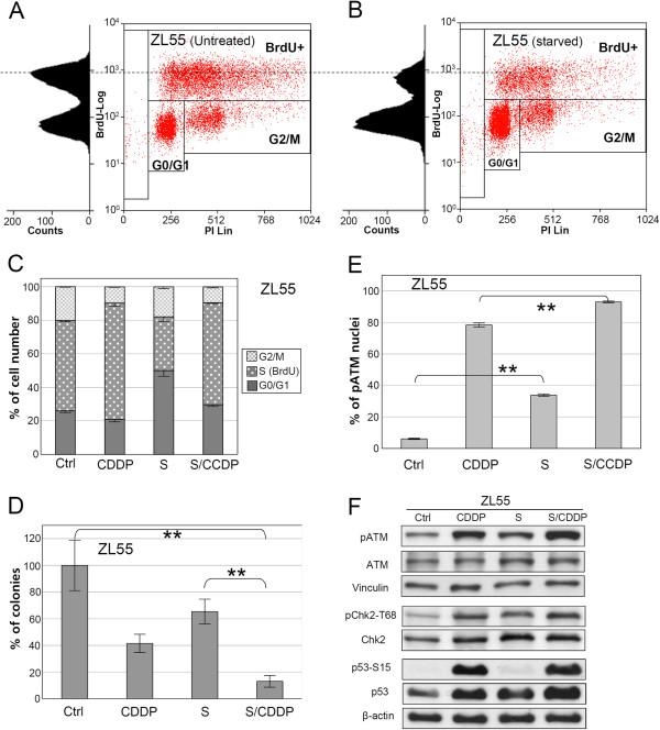 https://cdn.ncbi.nlm.nih.gov/pmc/blobs/bc29/3527202/a49c2de4959f/1471-2407-12-571-1.jpg