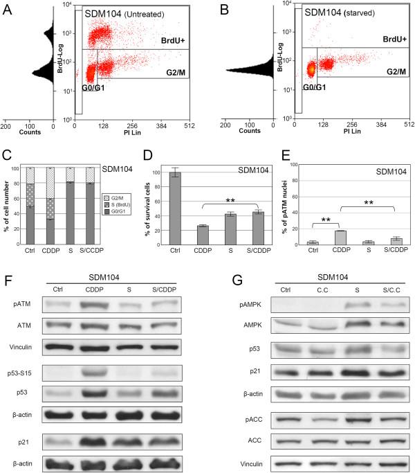 https://cdn.ncbi.nlm.nih.gov/pmc/blobs/bc29/3527202/a5255d7647de/1471-2407-12-571-5.jpg