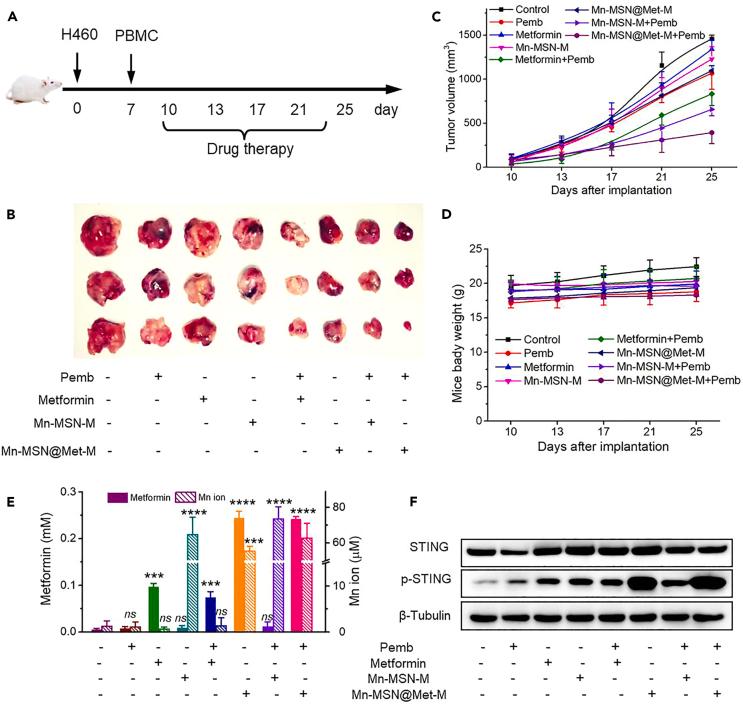 https://cdn.ncbi.nlm.nih.gov/pmc/blobs/bc2b/11261061/21e77999f39d/gr6.jpg
