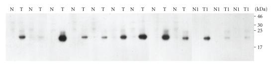 https://cdn.ncbi.nlm.nih.gov/pmc/blobs/bc2b/2801507/6399df1899c4/JBB2010-437143.005.jpg
