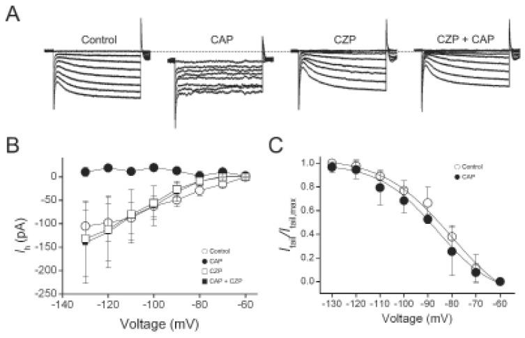 https://cdn.ncbi.nlm.nih.gov/pmc/blobs/bc2b/3381215/aa000ed5b3ed/en-21-75-g003.jpg