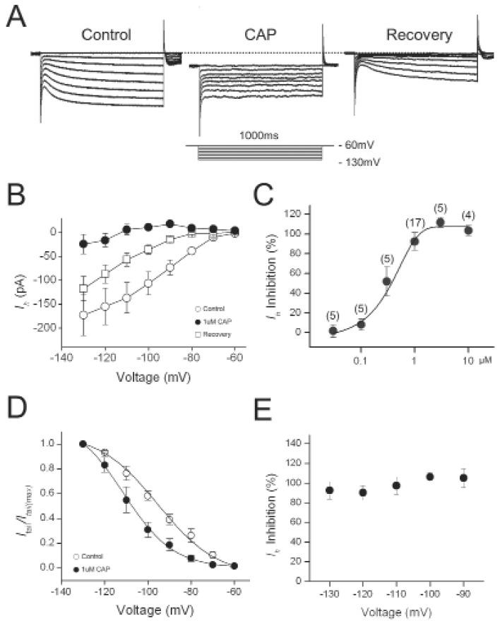https://cdn.ncbi.nlm.nih.gov/pmc/blobs/bc2b/3381215/c80202a9a504/en-21-75-g001.jpg