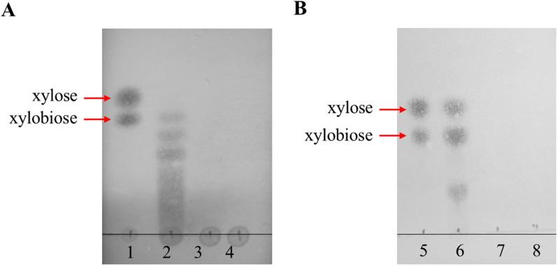 https://cdn.ncbi.nlm.nih.gov/pmc/blobs/bc2e/10683242/29ee2a479f20/13068_2023_2435_Fig6_HTML.jpg