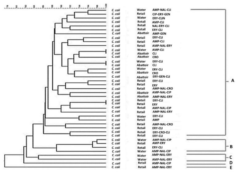 https://cdn.ncbi.nlm.nih.gov/pmc/blobs/bc2e/7168222/80d0dc23d16e/antibiotics-09-00042-g008.jpg