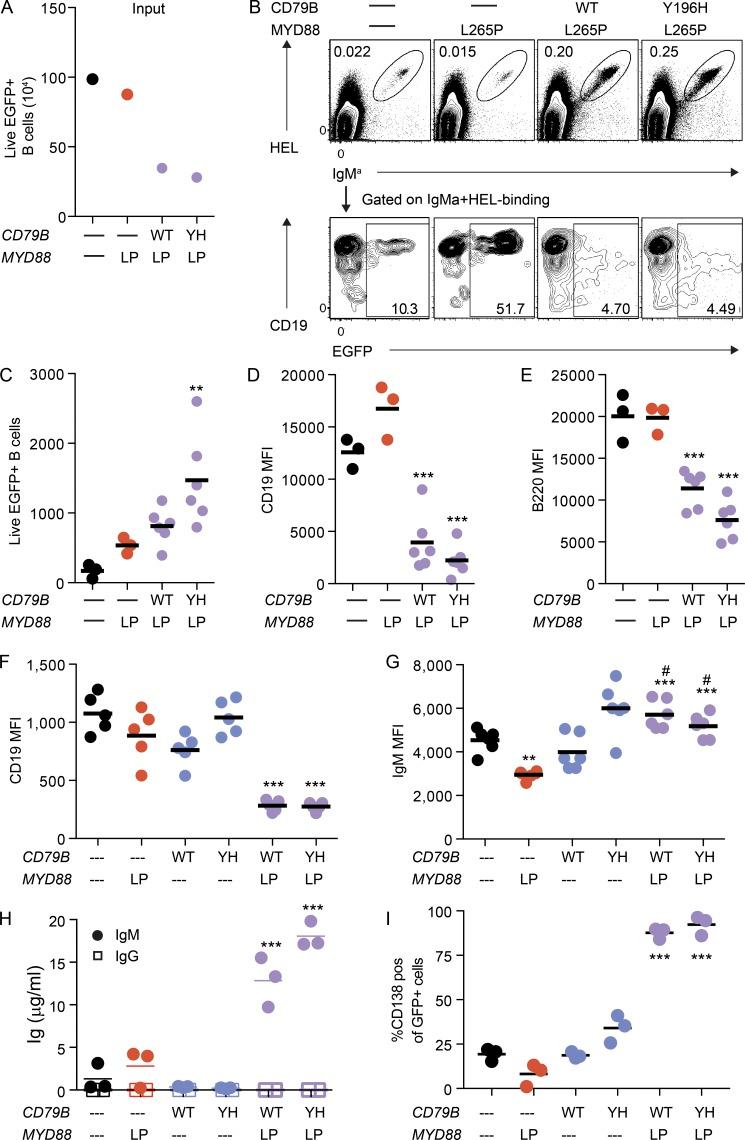 https://cdn.ncbi.nlm.nih.gov/pmc/blobs/bc31/5584117/106a52be209c/JEM_20161454_Fig5.jpg
