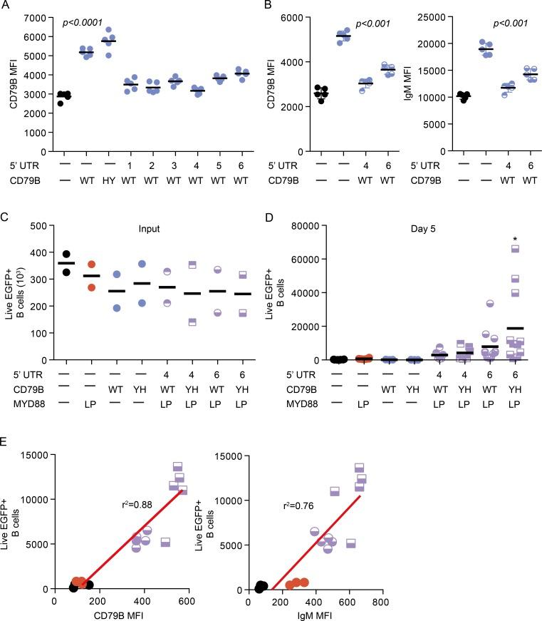 https://cdn.ncbi.nlm.nih.gov/pmc/blobs/bc31/5584117/a0e8e441695d/JEM_20161454_Fig7.jpg