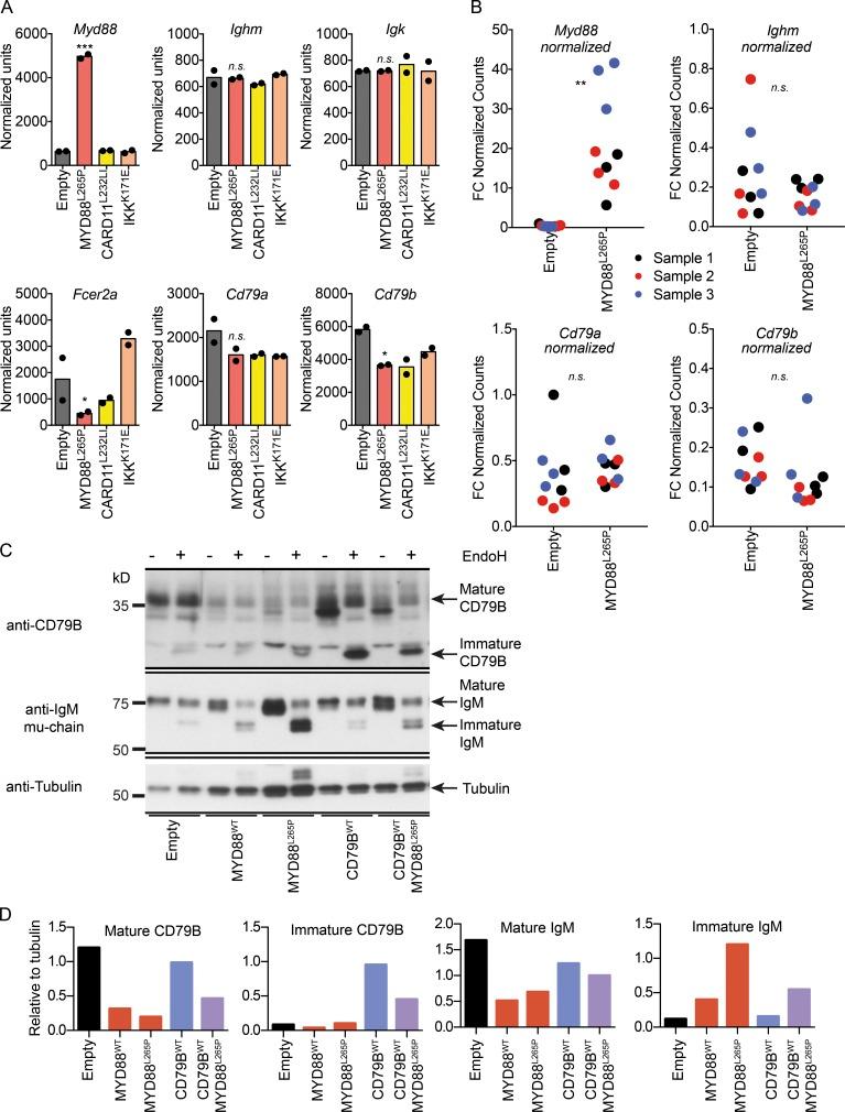 https://cdn.ncbi.nlm.nih.gov/pmc/blobs/bc31/5584117/d2903ab8934e/JEM_20161454_Fig3.jpg
