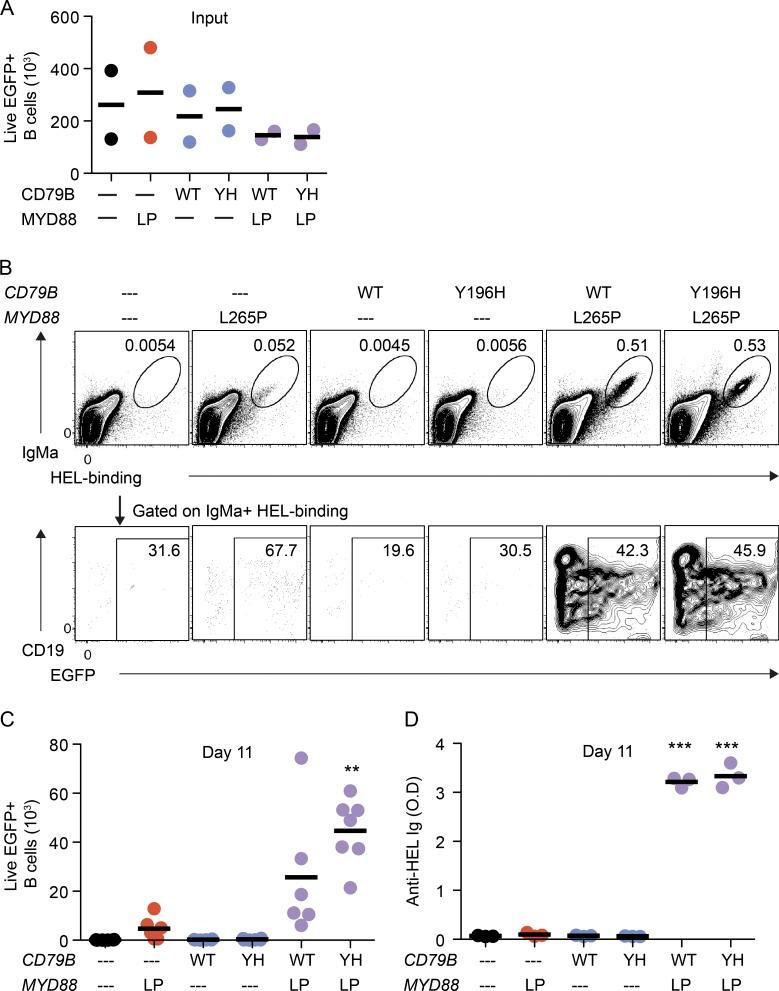 https://cdn.ncbi.nlm.nih.gov/pmc/blobs/bc31/5584117/d4804f28008d/JEM_20161454_Fig6.jpg