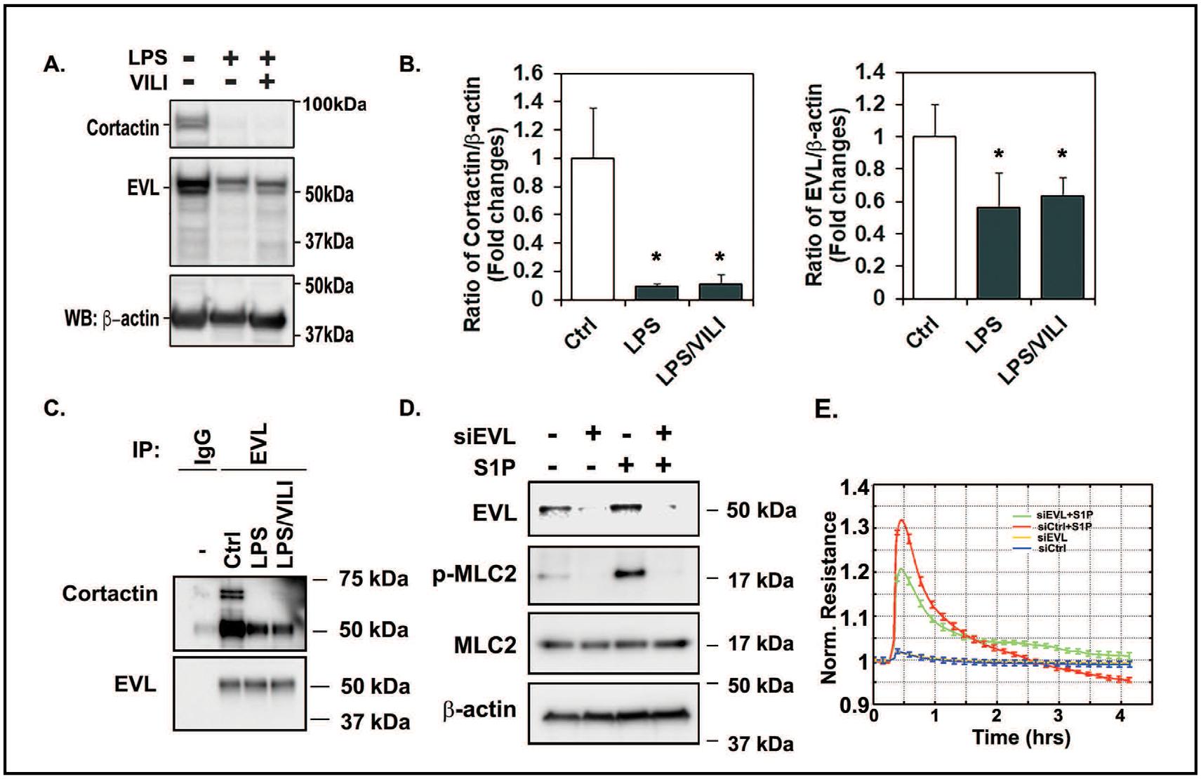 https://cdn.ncbi.nlm.nih.gov/pmc/blobs/bc31/9341431/4a132bb14b3d/nihms-1825882-f0002.jpg