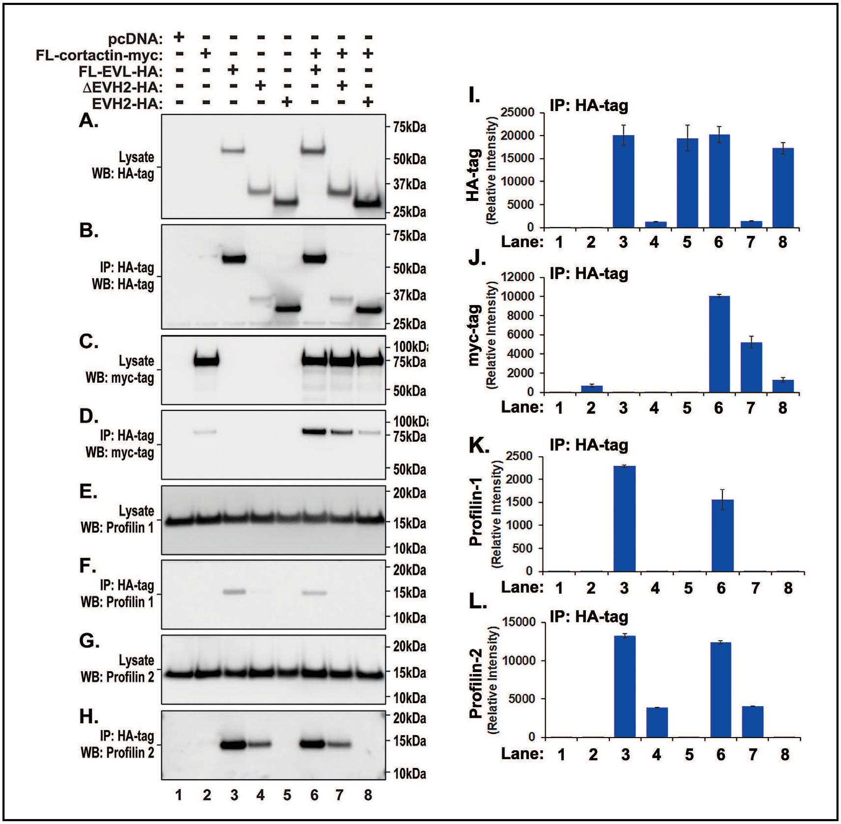 https://cdn.ncbi.nlm.nih.gov/pmc/blobs/bc31/9341431/cd4c41ce0177/nihms-1825882-f0004.jpg