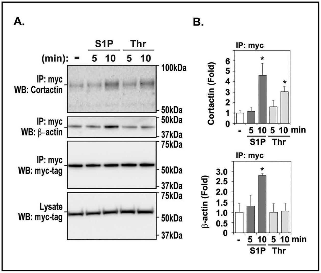https://cdn.ncbi.nlm.nih.gov/pmc/blobs/bc31/9341431/fc0a3829f04b/nihms-1825882-f0001.jpg