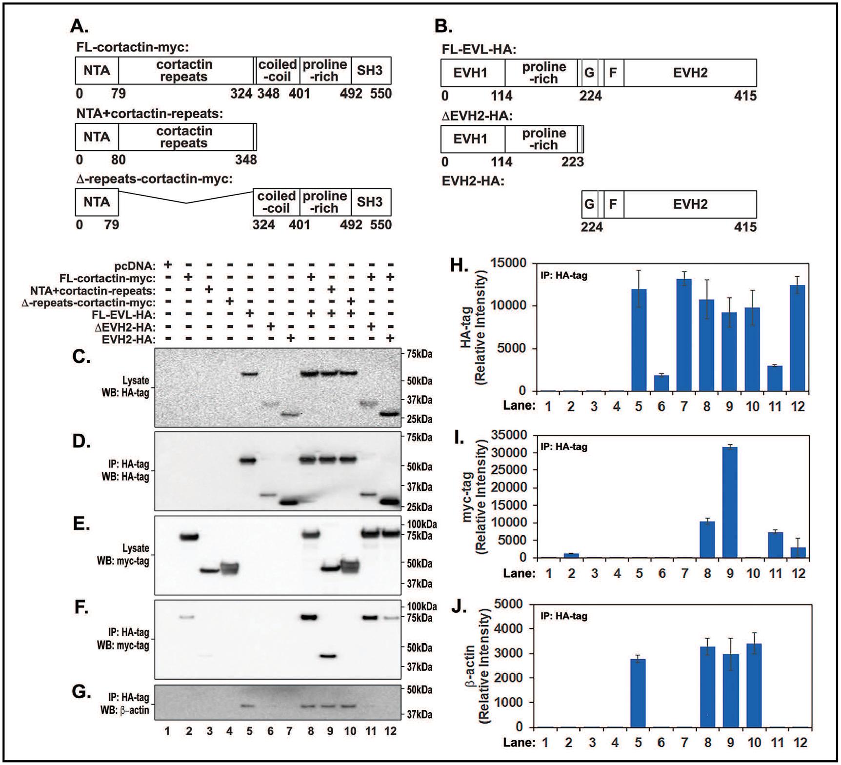 https://cdn.ncbi.nlm.nih.gov/pmc/blobs/bc31/9341431/fea2a8c35de3/nihms-1825882-f0003.jpg