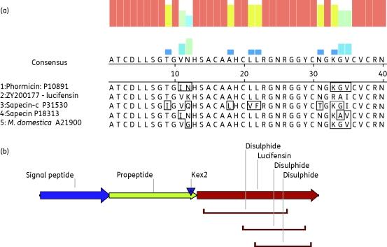 https://cdn.ncbi.nlm.nih.gov/pmc/blobs/bc33/2904663/d80bdec0b941/dkq16501.jpg