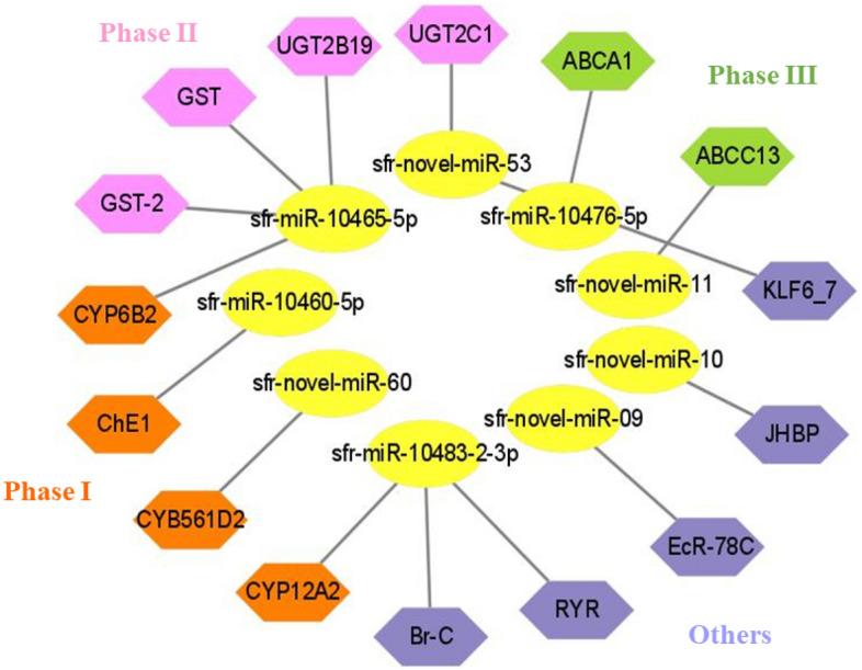 https://cdn.ncbi.nlm.nih.gov/pmc/blobs/bc36/10881993/94124a6a0a1e/41598_2024_54771_Fig4_HTML.jpg