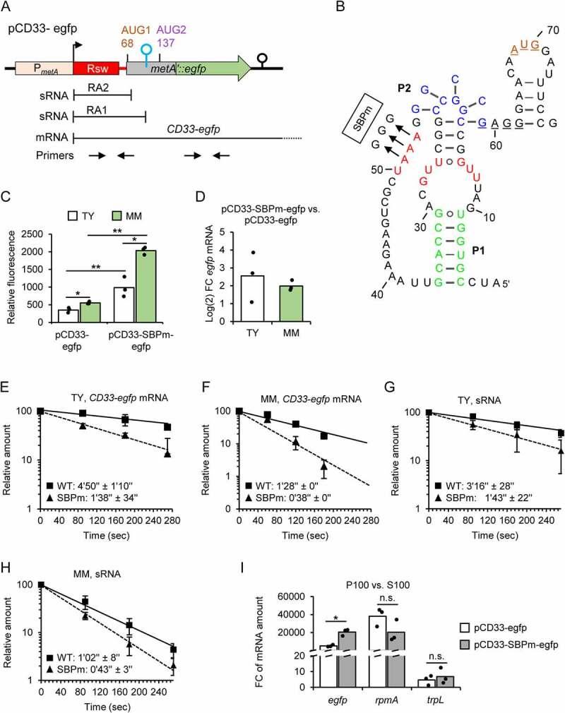 https://cdn.ncbi.nlm.nih.gov/pmc/blobs/bc36/9373788/505dff14cad0/KRNB_A_2110380_F0007_OC.jpg