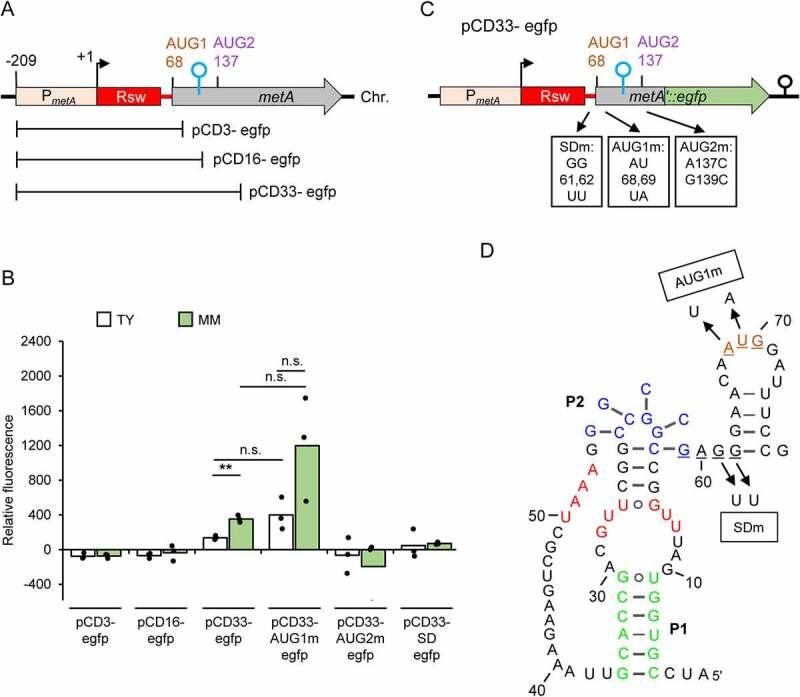 https://cdn.ncbi.nlm.nih.gov/pmc/blobs/bc36/9373788/6881173ea2e2/KRNB_A_2110380_F0006_OC.jpg