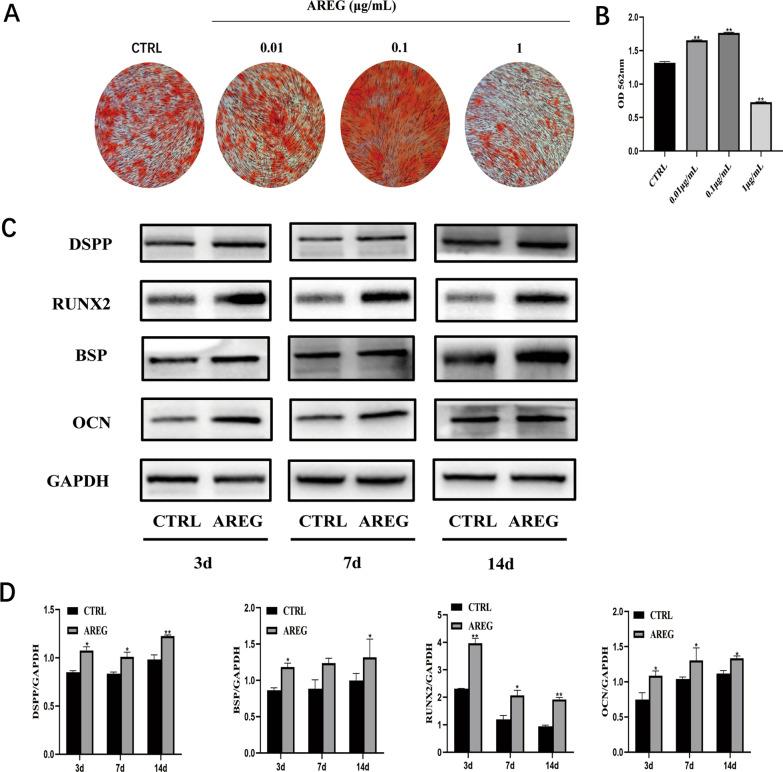 https://cdn.ncbi.nlm.nih.gov/pmc/blobs/bc37/9284861/ee5d98b7fb77/13287_2022_2971_Fig3_HTML.jpg