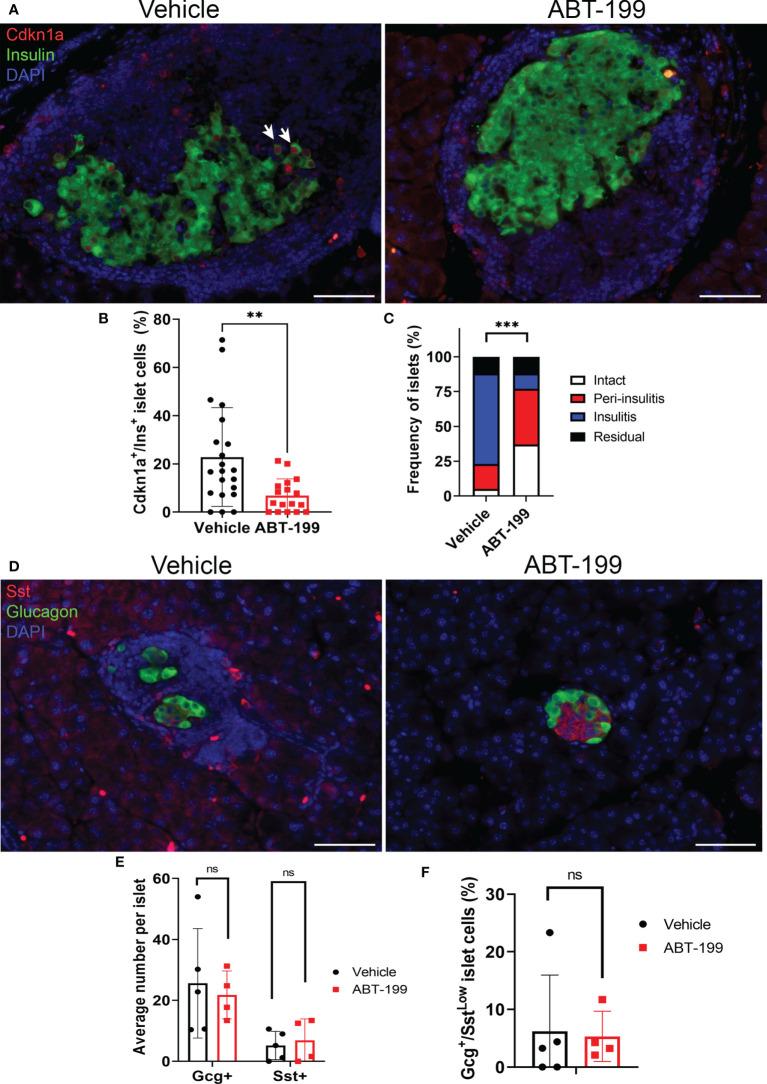 https://cdn.ncbi.nlm.nih.gov/pmc/blobs/bc38/9586489/1016f0070bd0/fendo-13-932516-g003.jpg