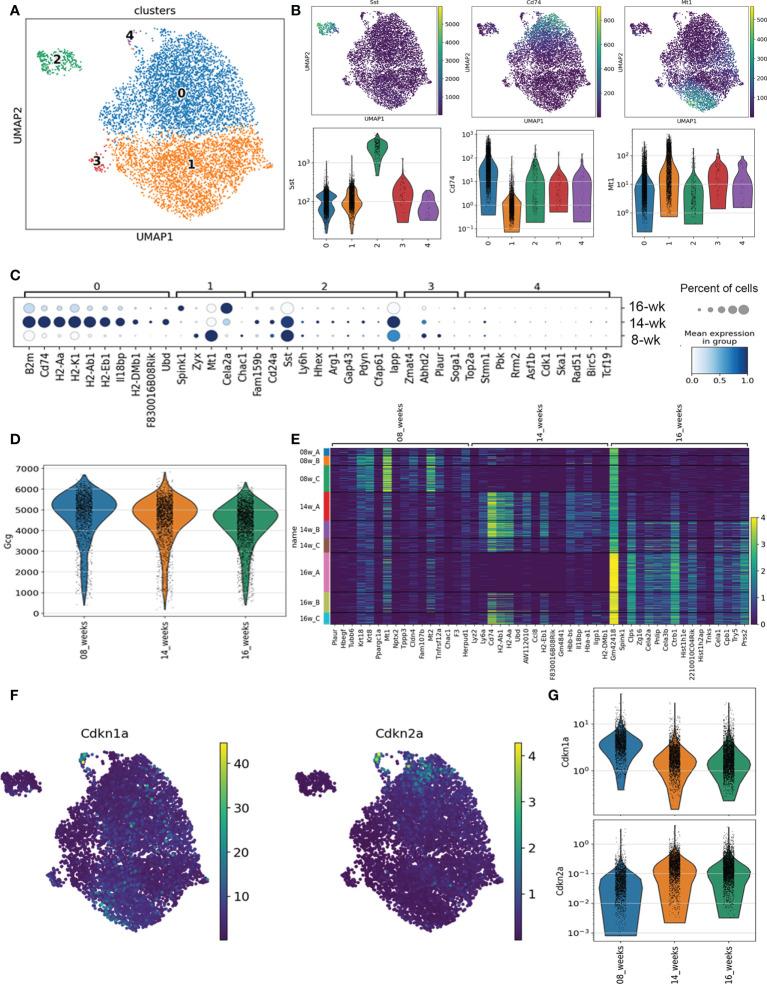 https://cdn.ncbi.nlm.nih.gov/pmc/blobs/bc38/9586489/7a3abf0ce6e3/fendo-13-932516-g001.jpg