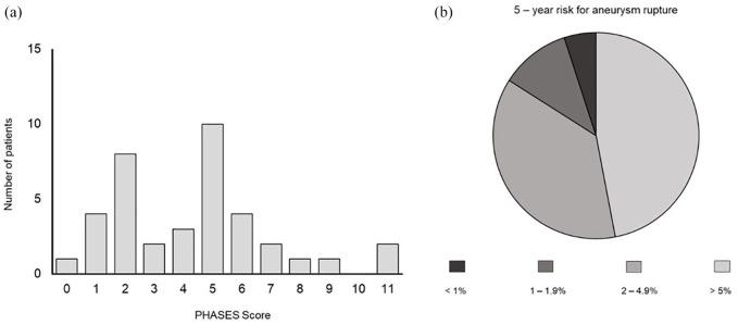 https://cdn.ncbi.nlm.nih.gov/pmc/blobs/bc3a/7739206/4b14165ebff0/10.1177_1756286420966159-fig4.jpg