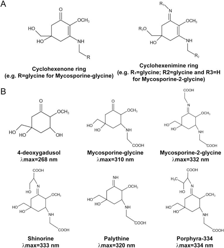 https://cdn.ncbi.nlm.nih.gov/pmc/blobs/bc3c/8102716/f7c8c3fdb8e8/gr3.jpg