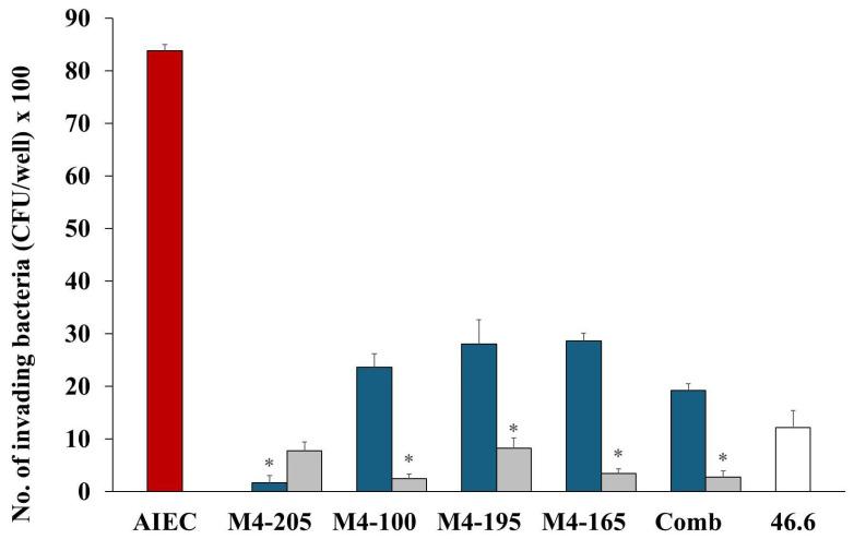 https://cdn.ncbi.nlm.nih.gov/pmc/blobs/bc3d/10972269/cc53d19004a1/microorganisms-12-00502-g002.jpg