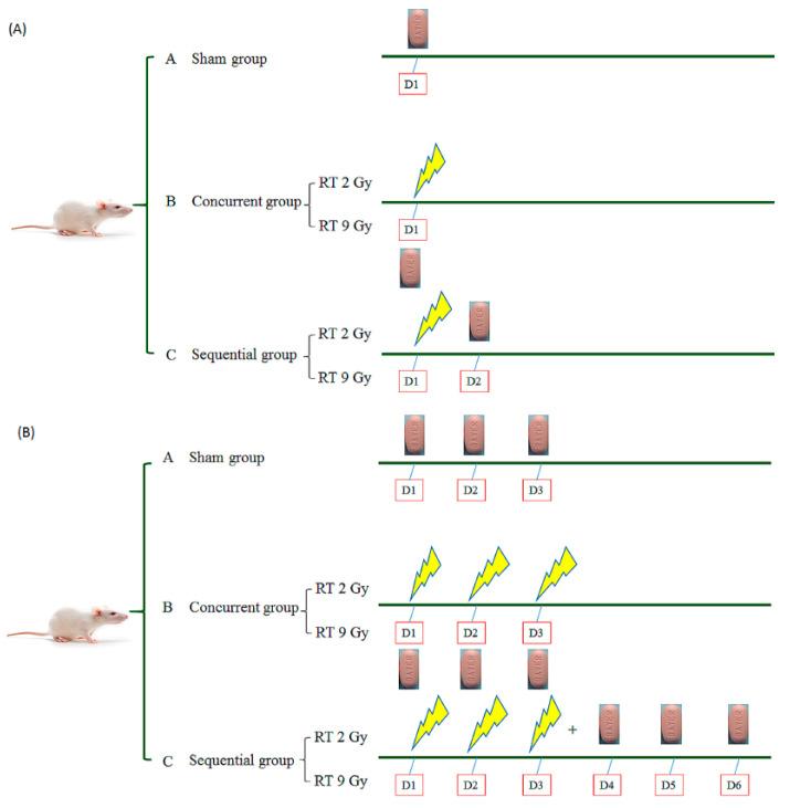 https://cdn.ncbi.nlm.nih.gov/pmc/blobs/bc3e/8035703/a6f79cf13872/pharmaceutics-13-00386-g001.jpg