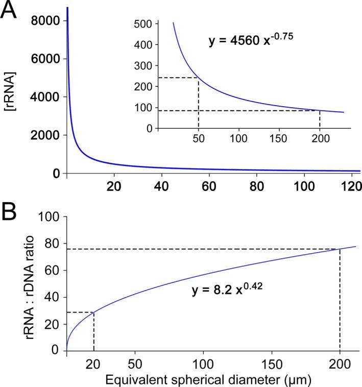 https://cdn.ncbi.nlm.nih.gov/pmc/blobs/bc3f/5697653/3a3acaf5895c/JEU-64-885-g006.jpg