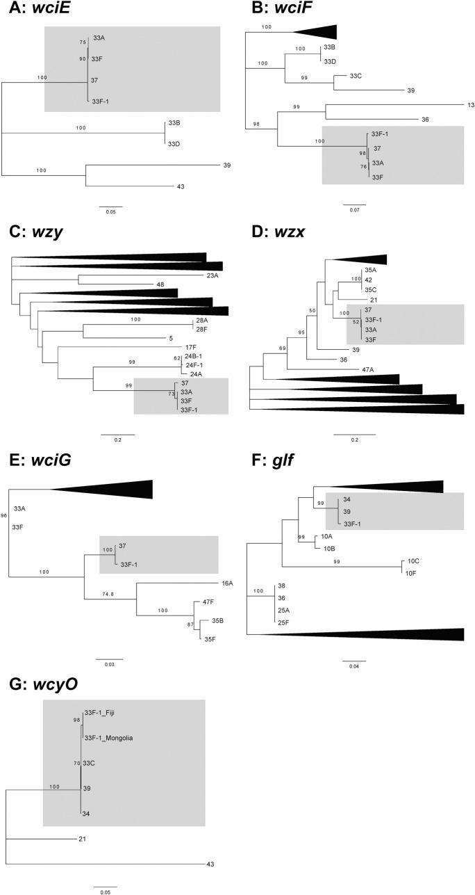 https://cdn.ncbi.nlm.nih.gov/pmc/blobs/bc3f/6218050/0256894a601b/pone.0206622.g003.jpg