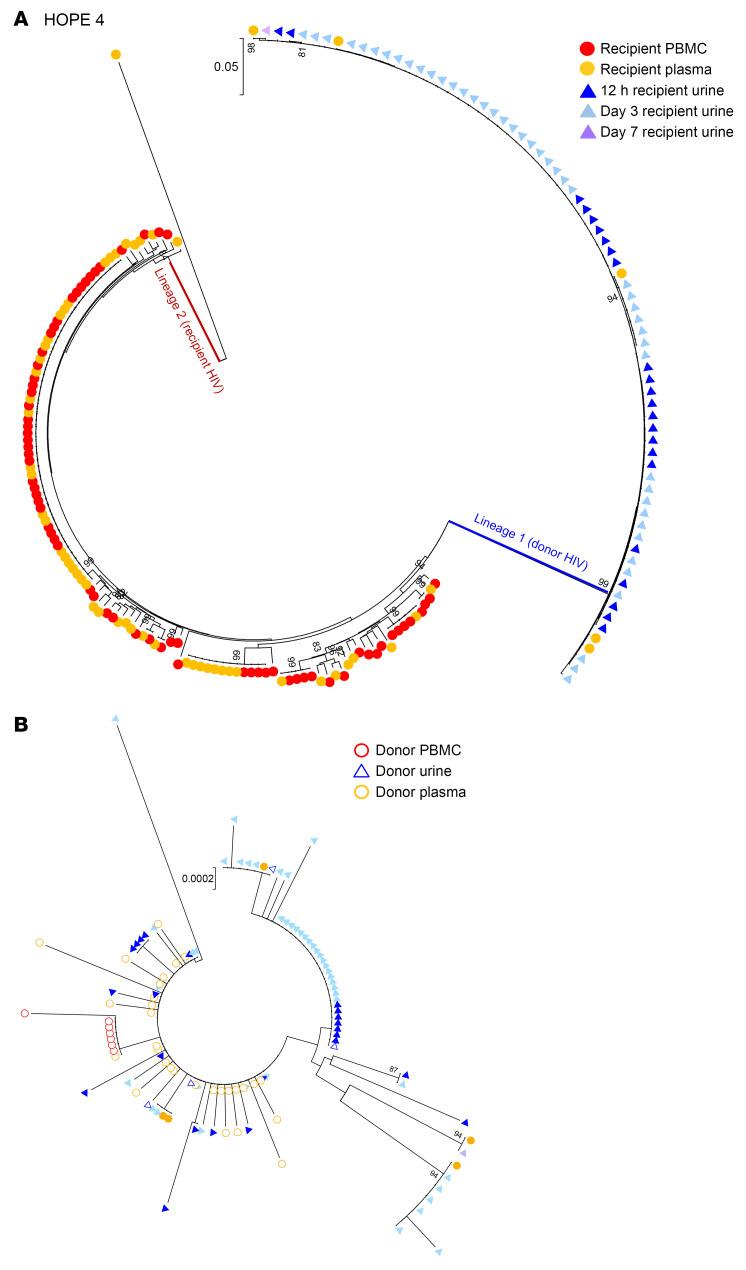 https://cdn.ncbi.nlm.nih.gov/pmc/blobs/bc40/11473162/990b1e79a51f/jci-134-181560-g086.jpg