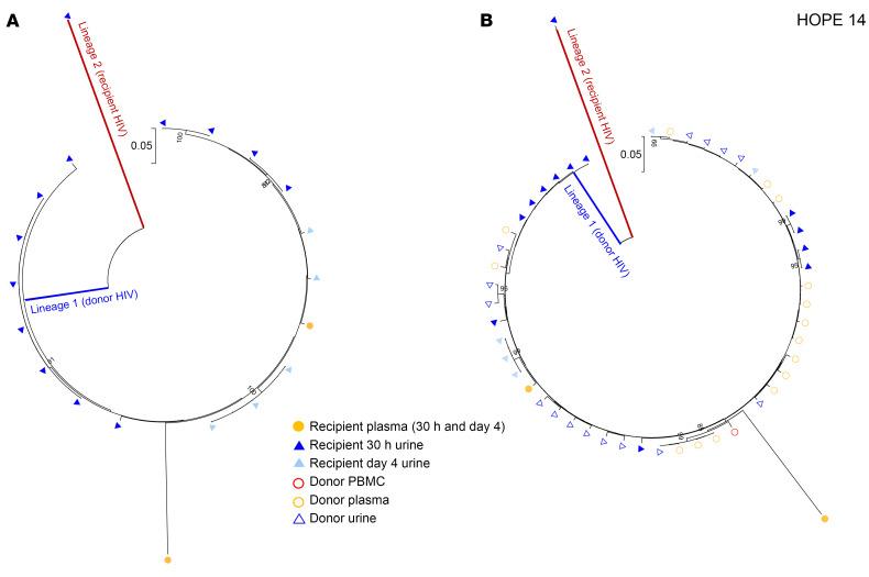 https://cdn.ncbi.nlm.nih.gov/pmc/blobs/bc40/11473162/c54777668053/jci-134-181560-g088.jpg