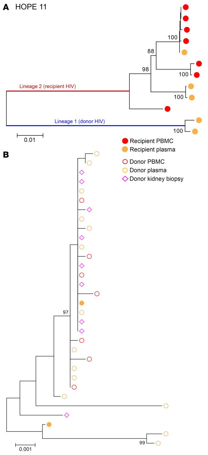 https://cdn.ncbi.nlm.nih.gov/pmc/blobs/bc40/11473162/cb139beb9237/jci-134-181560-g087.jpg