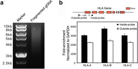https://cdn.ncbi.nlm.nih.gov/pmc/blobs/bc41/5769328/27e3725875a4/12864_2018_4431_Fig3_HTML.jpg