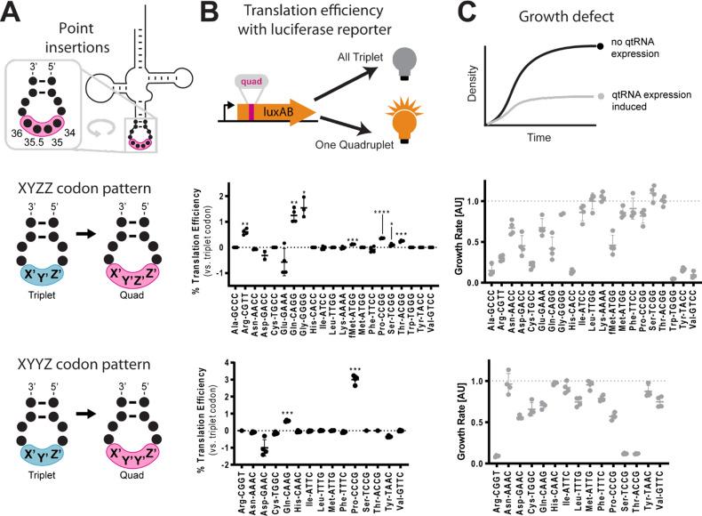 https://cdn.ncbi.nlm.nih.gov/pmc/blobs/bc41/9094753/173e9e46dde3/elife-76941-fig2.jpg
