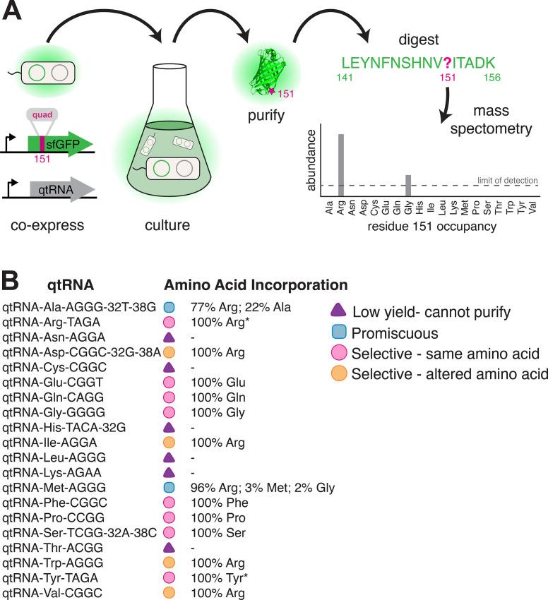 https://cdn.ncbi.nlm.nih.gov/pmc/blobs/bc41/9094753/64a0a73224f9/elife-76941-fig5.jpg