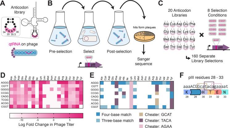 https://cdn.ncbi.nlm.nih.gov/pmc/blobs/bc41/9094753/f0592c44f117/elife-76941-fig3.jpg