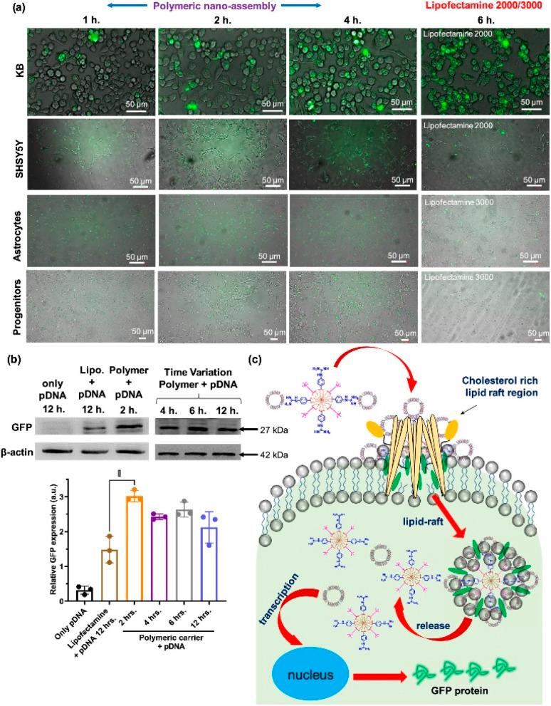 https://cdn.ncbi.nlm.nih.gov/pmc/blobs/bc42/10043881/8b4b591571f5/d2ra07111h-f7.jpg