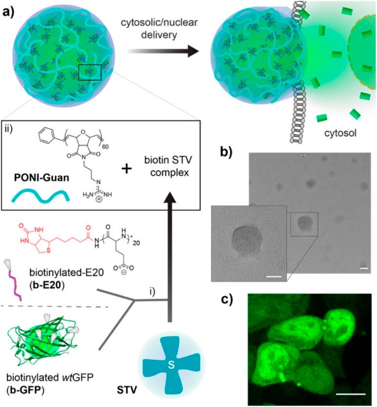 https://cdn.ncbi.nlm.nih.gov/pmc/blobs/bc42/10043881/b33b4d0a2da8/d2ra07111h-f2.jpg